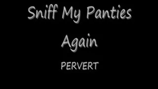 I'll Never Sniff Your Panties Preview