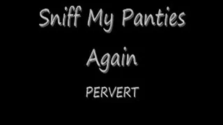 I'll Never Sniff Your Panties Preview