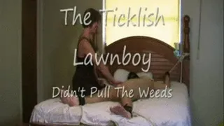 The Ticklish Lawnboy Streaming