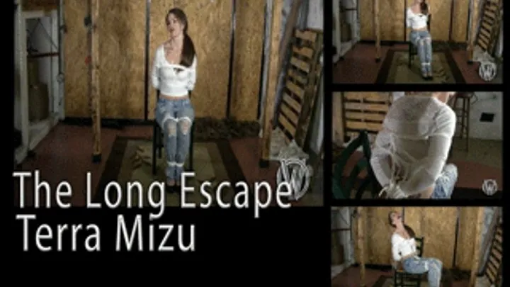 Terra Mizu in the Long Escape