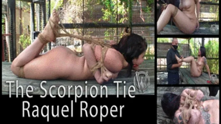 Raquel Roper in The Scorpion Tie