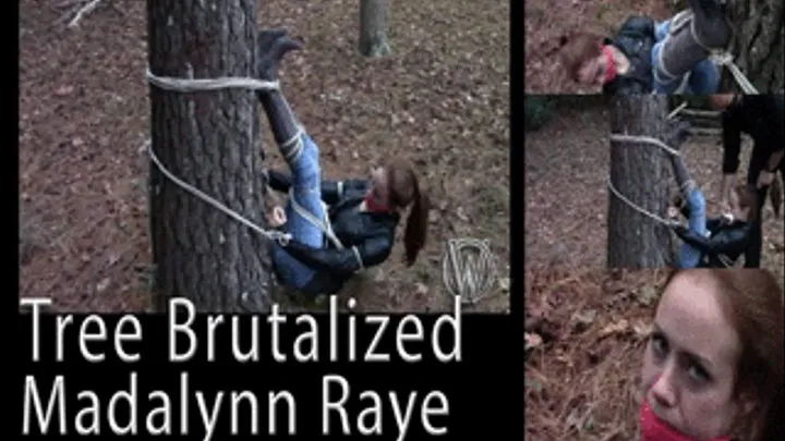 Madalynn Raye in Tree Brutalized