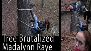 Madalynn Raye in Tree Brutalized