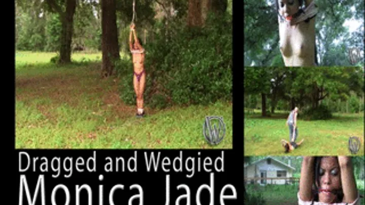 Monica Jade in Dragged and Wedgied