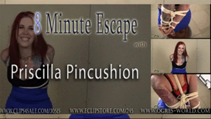 Priscilla Pincushion: 8 Minute Escape 26