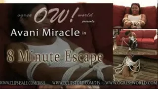 Avani Miracle and Mr. Ogre: 8 Minute Escape 23