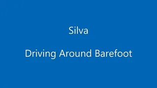 Silva Driving