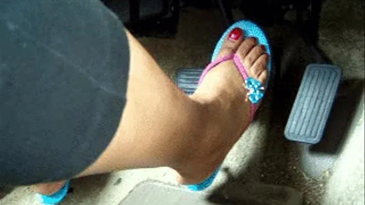 KT Flooring in Blue Thong Sandals