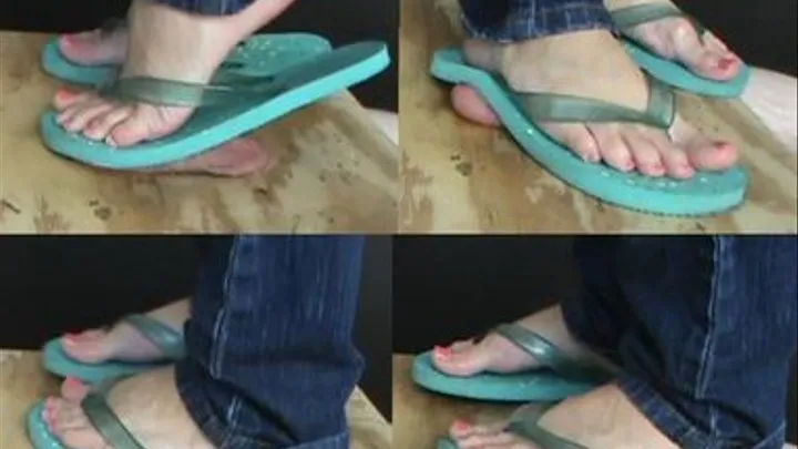 Cecelia's Flip Flops Mashing Cock