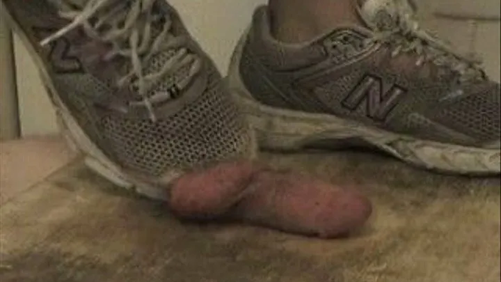 Well Worn Running Shoes