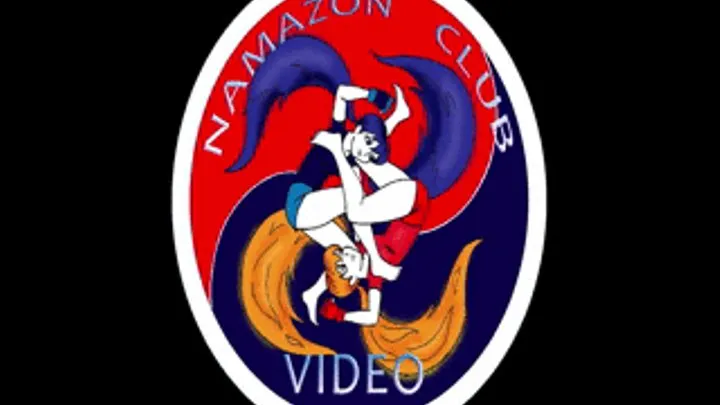 Video 42. Submission Grappling tournament. October 13, 2014. Part 2.