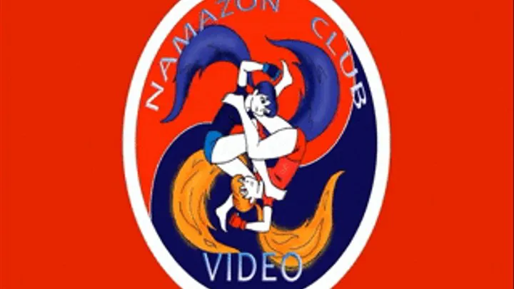 Video 4. "Christmas Cup 2011". Tournament on Submission Grappling