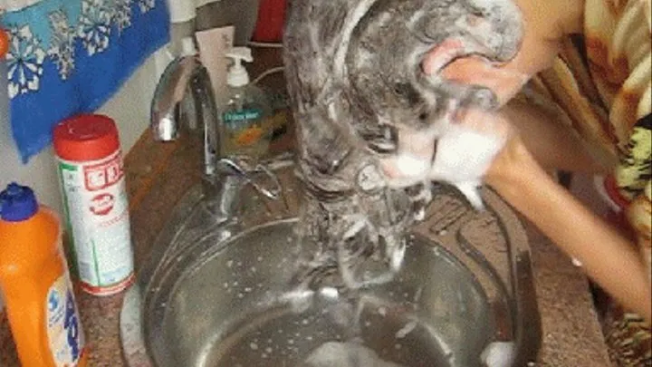 HEAD WASHING ON KITCHEN