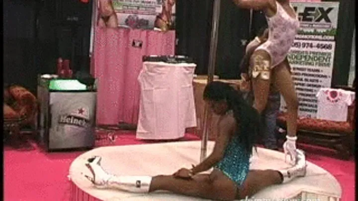 Exxxotica Miami Porn Convention 2010 Part 2