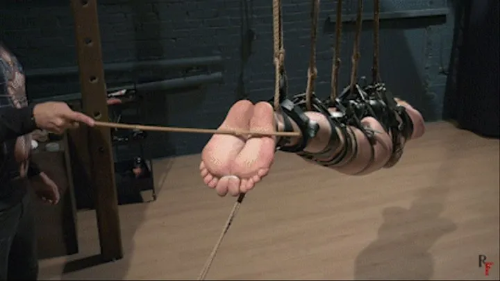 Agent Astrid blew a mission and got into bastinado trap - Suspended and caned