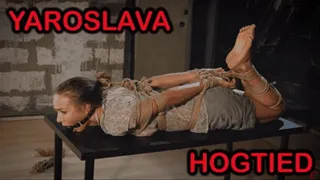 Yaroslava is tied up in rope hogtie