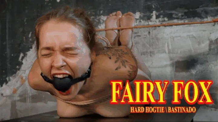 Fairy Fox - Naked and tightly packed. Hogtie and bastinado ( LOW BITRATE)