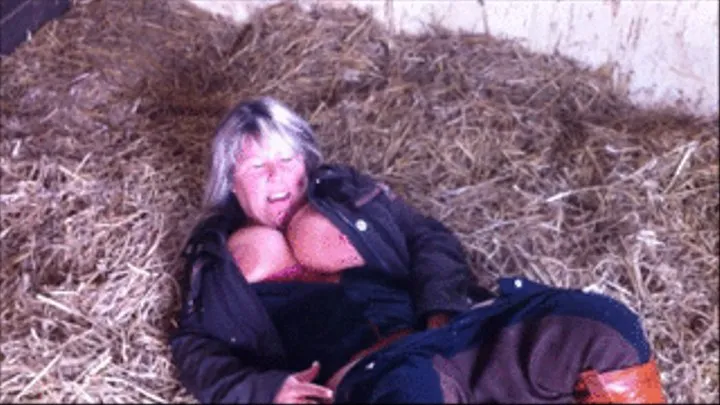 Barn Cleaning - in the straw