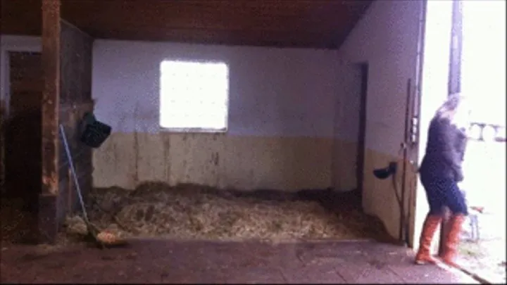 Barn Cleaning - Fork and stuff