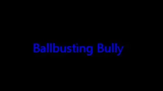 Ballbusting Bully