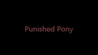 Punished Pony