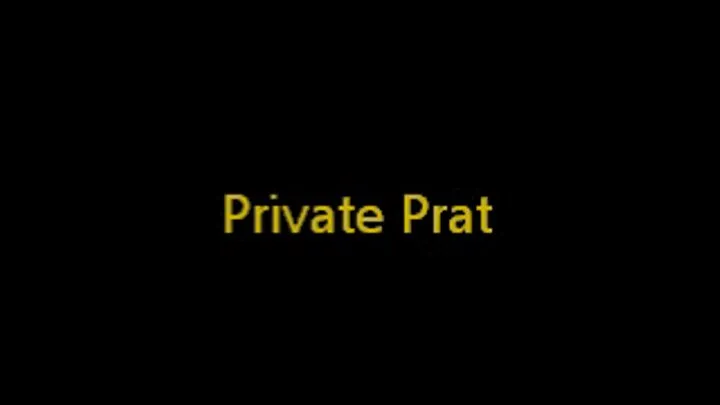 Private Prat Part 3 of 3