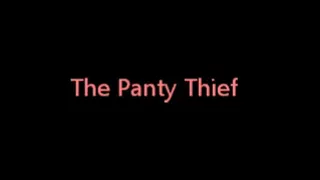 The Panty Thief (full version)