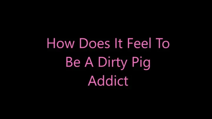 How Does It Feel To Be A Dirty Pig Addict