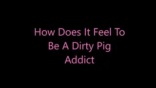 How Does It Feel To Be A Dirty Pig Addict