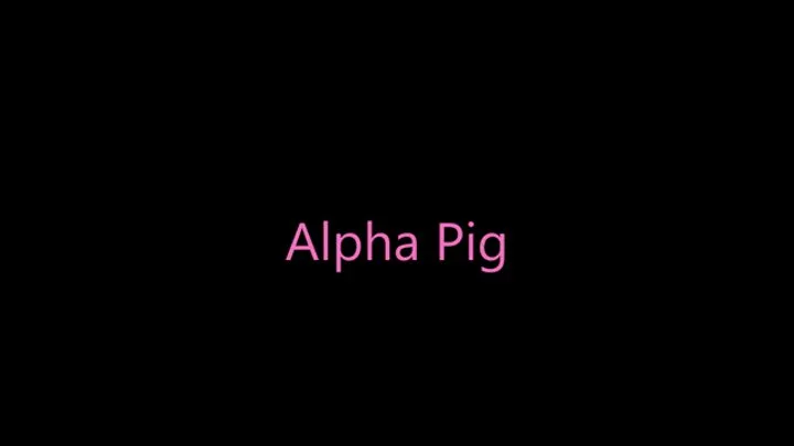 Alpha Pig