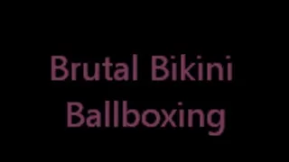 Brutal Bikini Boxing