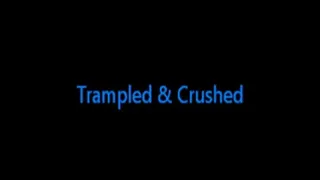 Tampled & Crushed