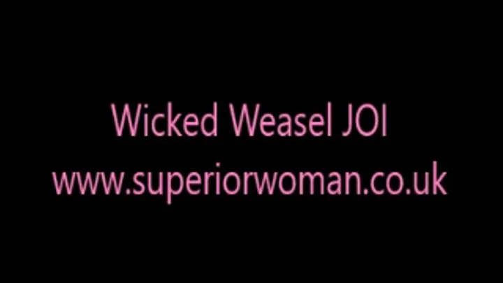 Wicked Weasel JOI