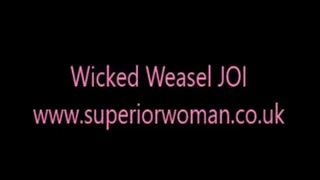 Wicked Weasel JOI