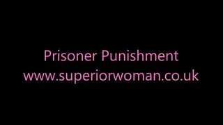 Prisoner Punishment