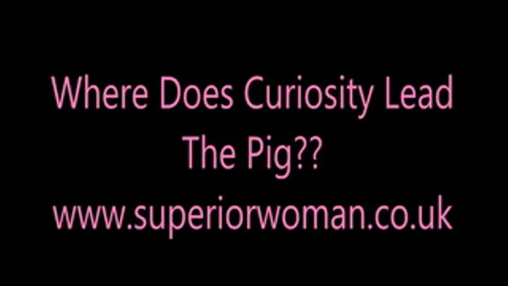 Where Does Curiosity Lead The Pig?