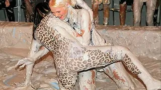 Eurobabe Cheetah Rolls Around In The Mud