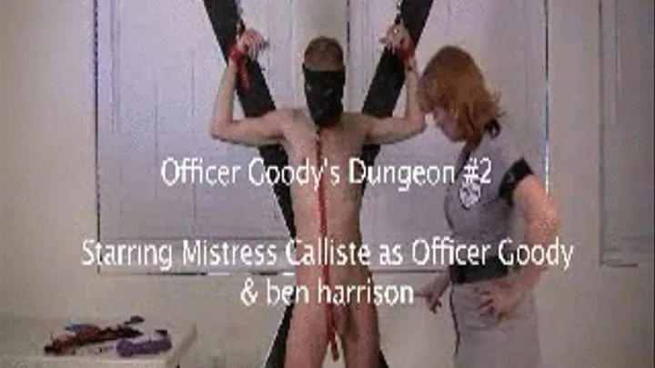 OfficerGoody'sDungeon #2