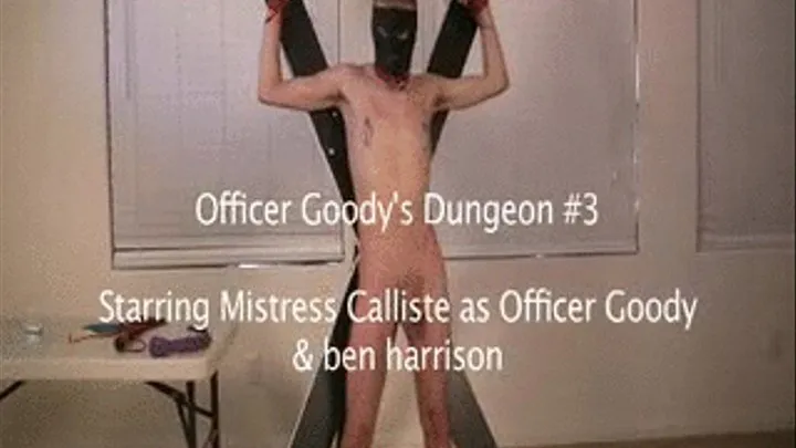 OfficerGoody'sDungeon #3