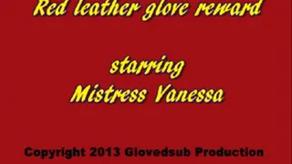 Red leather glove reward