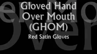 Red Satin Gloves Handgag