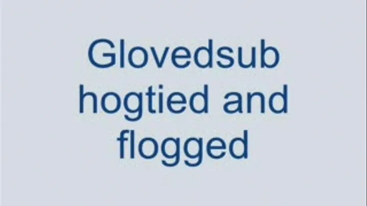 Glovedsub Hogtied
