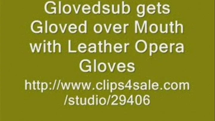 Leather Opera Glove GHOM