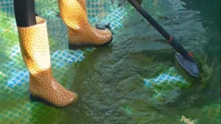 Pool cleaning in wellies, spandex leggins and down jacket