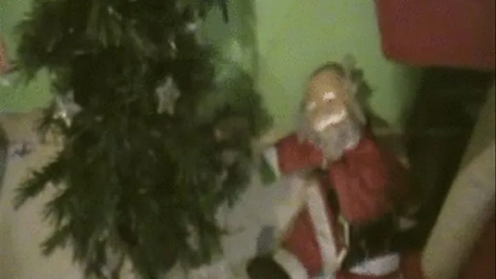 ALBERO DI NATALE CRUSH - DISTRUGGO L'ALBERO DI NATALE CALPESTANDOLO VIOLENTEMENTE CON I MIEI ANFIBI