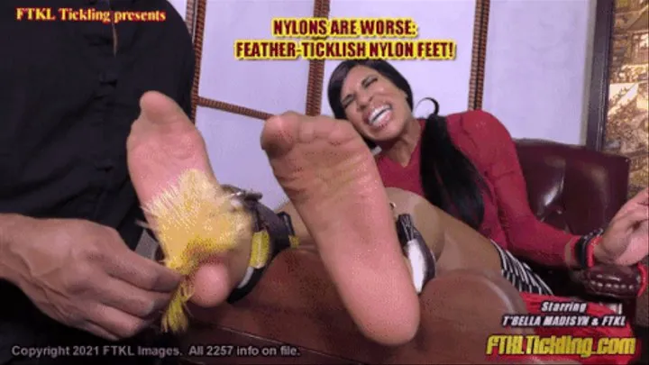 Nylons Are Worse: Feather-Ticklish Nylon Feet!