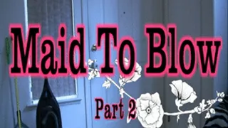 Maid To Blow Part 2