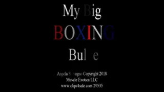 My Big Boxing Bulge