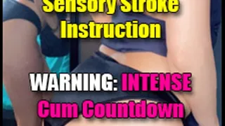 Jerk off Instruction (JOI) - BRAT Video - Cum Countdown - Mind Games - 23 Minutes