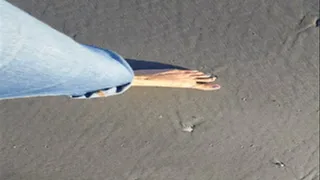 Beach Walk - Top View